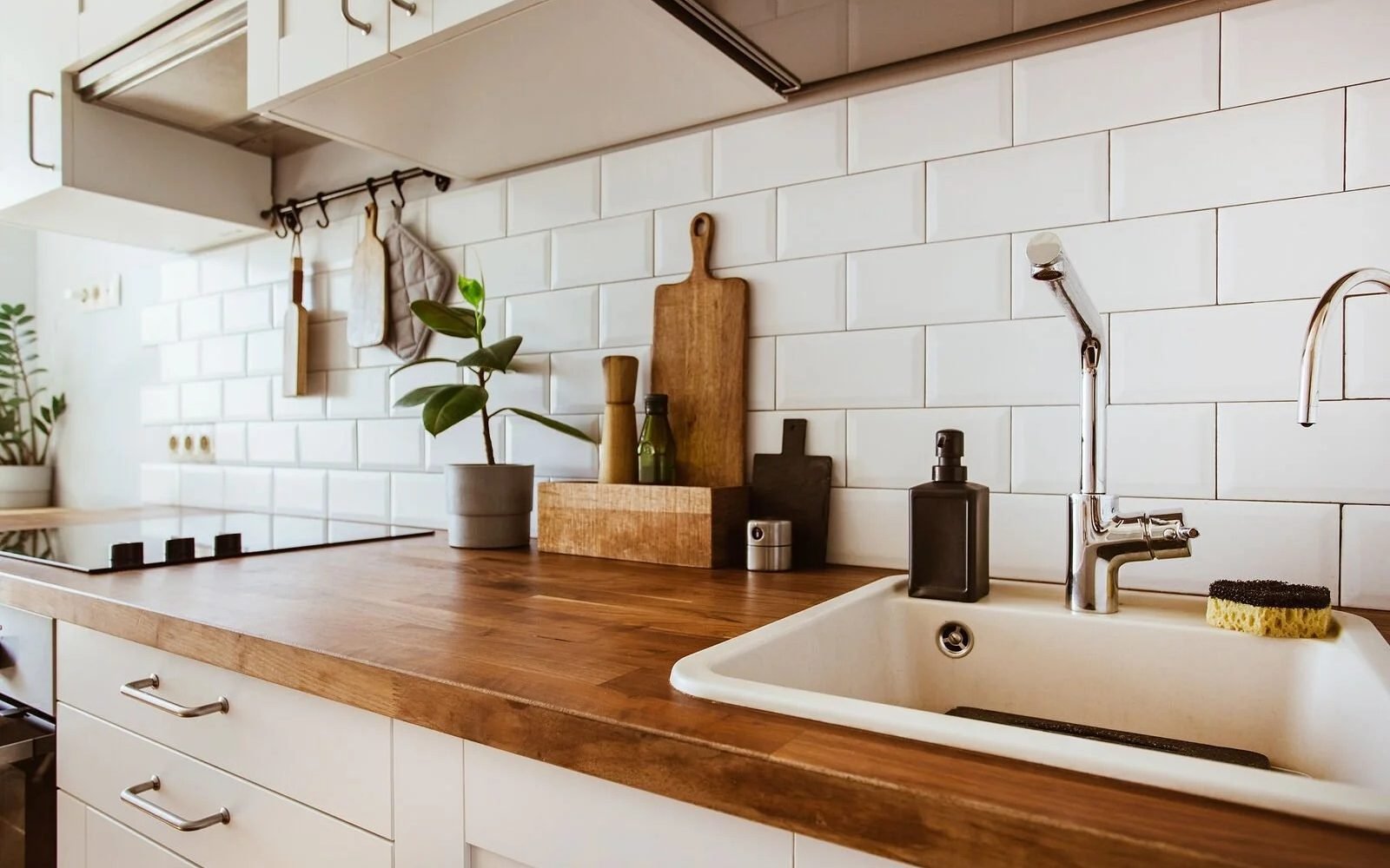 imgi_9_473317126_1101909804746453_499242979475614523_n